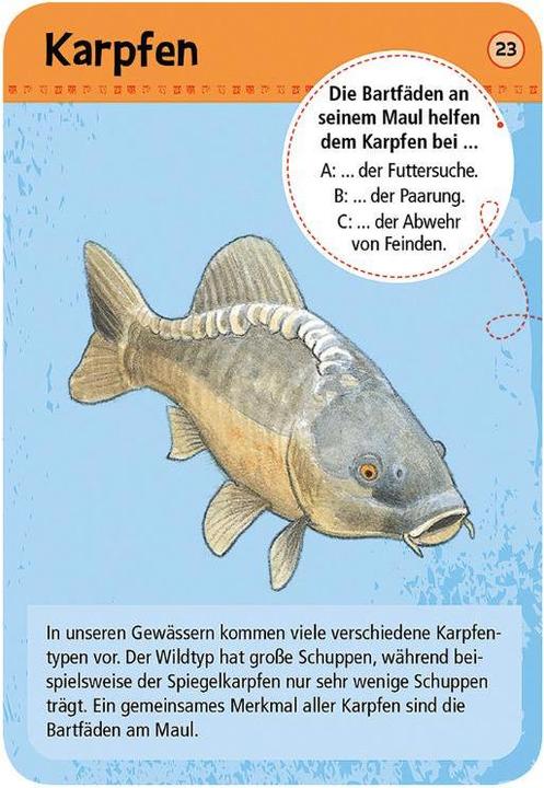 Actual product image Expedition Nature 50 native animals & plants at stream & pond (German)