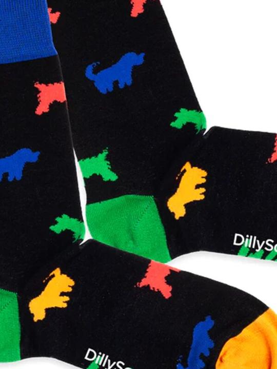 Immagine prodotto DillySocks Guaire in giro (Confezione singola, 41 - 46)