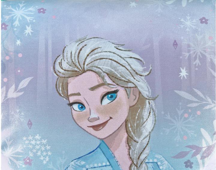 Actual product image Scooli Disney Frozen 5-piece school desk set (18 l)