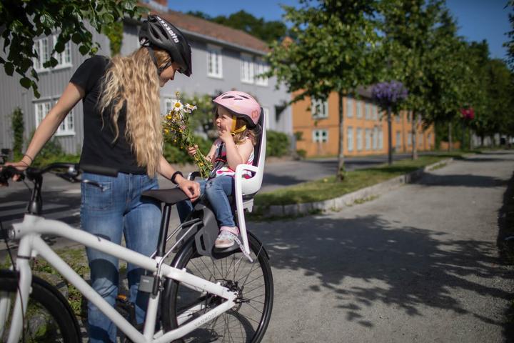 Image du produit hamax Caresse (Tube de selle)