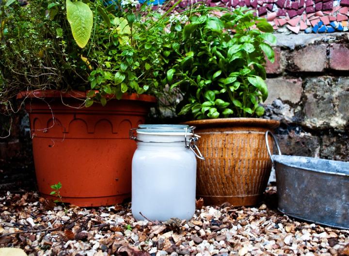 Produktbild Suck UK Sunjar (1 x)