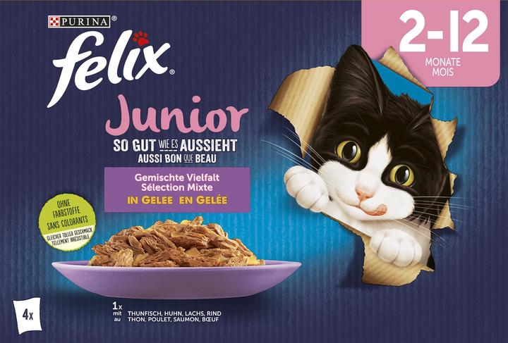 Actual product image Felix Junior (Junior, 4 pcs., 340 g)
