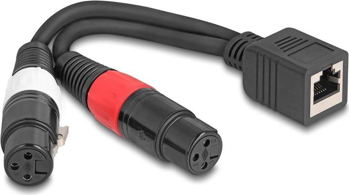 Produktbild Delock Adapterkabel RJ45 Buchse zu 2 x XLR 3 Pin Buchse schwarz 20 cm (88178) (0.20 m)