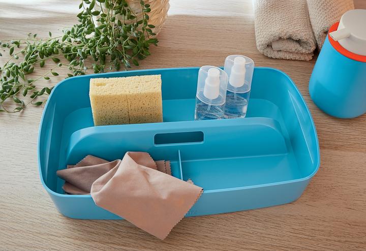 Immagine prodotto Leitz COSY - Organizzatore (A5)