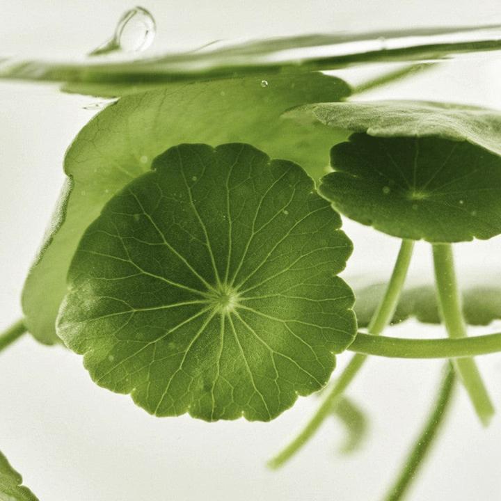 Immagine prodotto Beauty of Joseon Siero Light On Centella Vita C (30 ml)