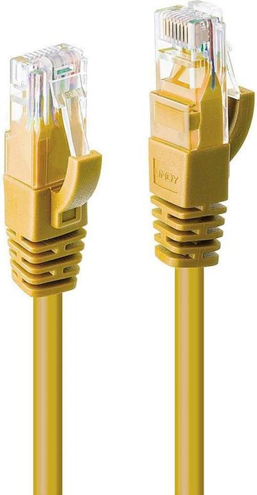 Image du produit Lindy Câble de réseau (U/UTP, CAT6, 2 m)