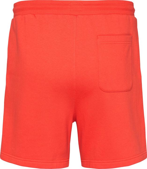 Actual product image Tommy Jeans 10021365 (L)