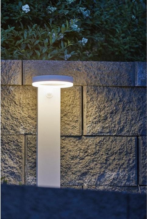Actual product image Star Trading Solar Vidi (500 lm, IP44)