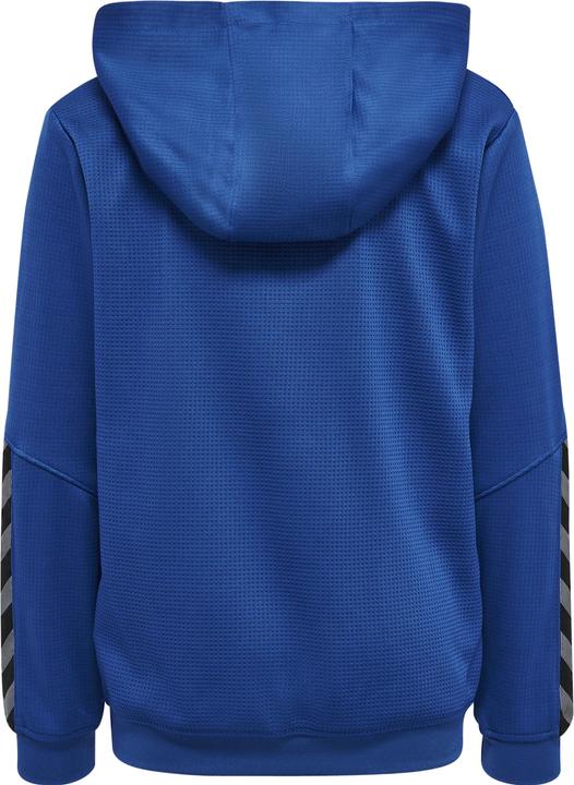 Actual product image hummel Authentic Kids Poly Hoodie (176)