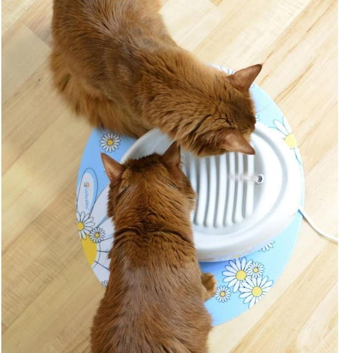 Produktbild Lucky Kitty Katzenbrunnen (1.50 l)