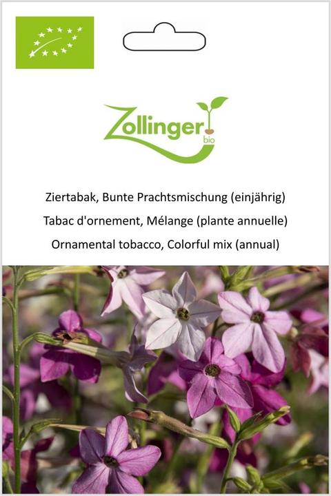 Immagine prodotto Zollinger Bio Tabacco ornamentale, Miscuglio di splendore colorato (annuale)