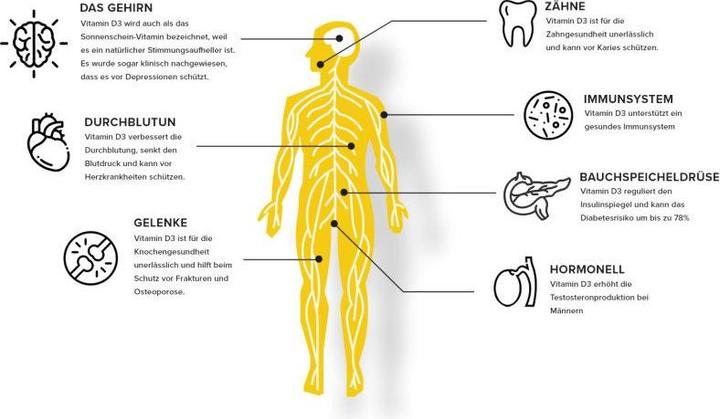 Produktbild Vivo Vegan D3 & K2 Complex (100 Stück, Flüssigkeit)