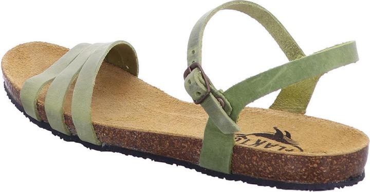 Actual product image Plakton 575080 PISTACIO (40)