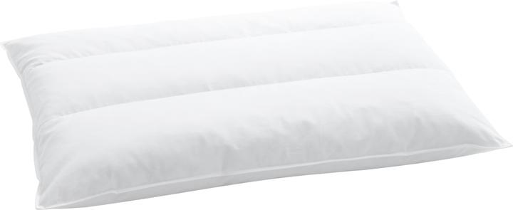 Produktbild Billerbeck Terzo 250 (60 x 90 cm)