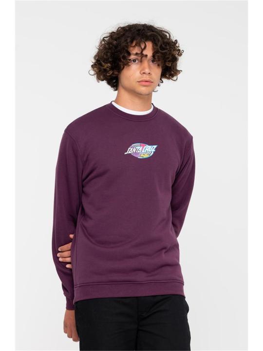 Actual product image Santa Cruz Strange Oval Strip Crew (S)
