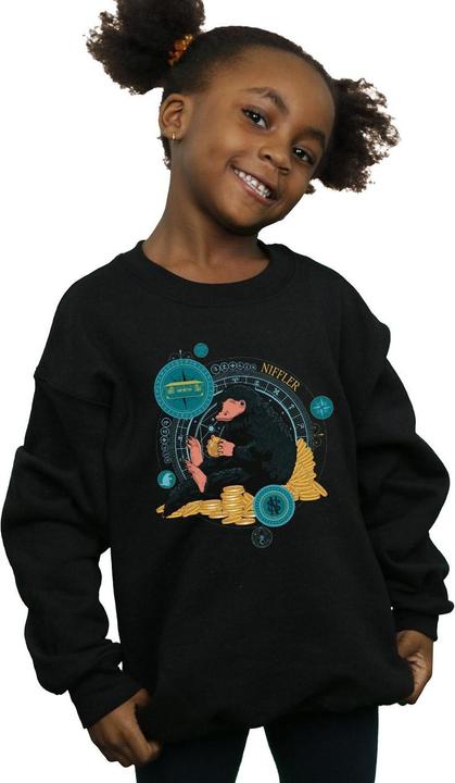 Image du produit Fantastic Beasts - Sweat SITTING NIFFLER - Fille (152, 158)