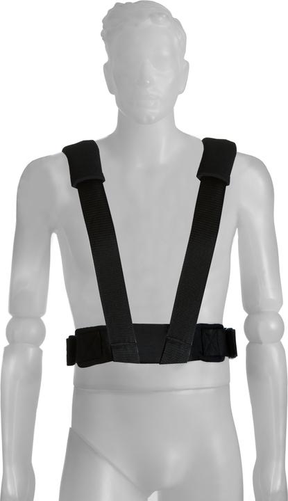Actual product image Hauck 4-Way Carrier