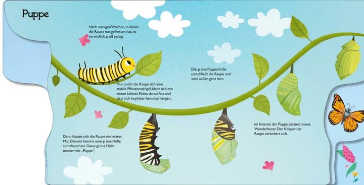 Produktbild Von der kleinen Raupe zum Schmetterling (Deutsch)