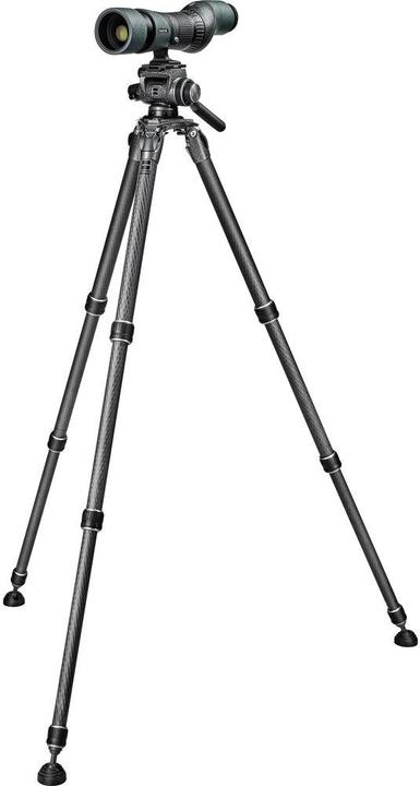 Actual product image Gitzo GHF2W (2-way Panhead)