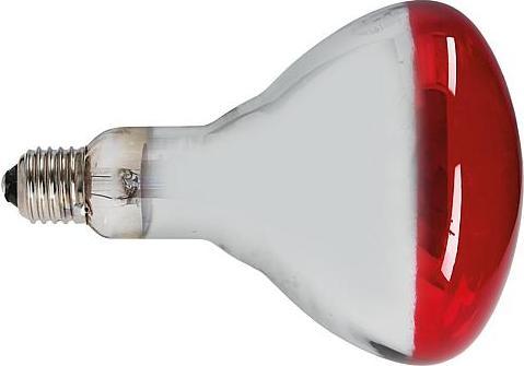 Productafbeelding Philips Infrarode lamp (150 W)