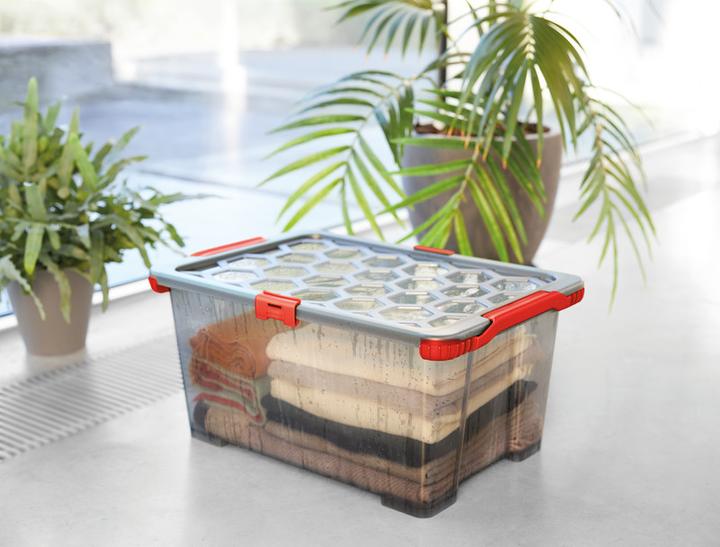 Produktbild Rotho Evo Total (59 x 39.5 x 28 cm, 44 l)