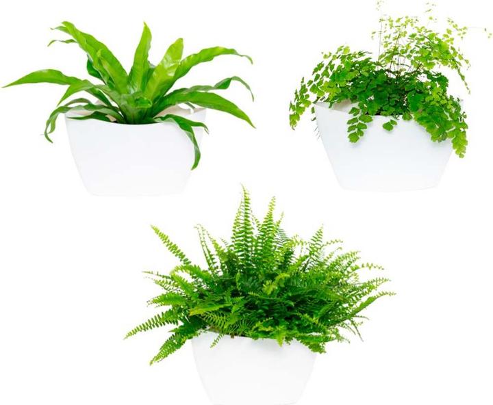 Immagine prodotto CitySens 3 Pack di fioriere da parete fioriera bianca (9 cm)