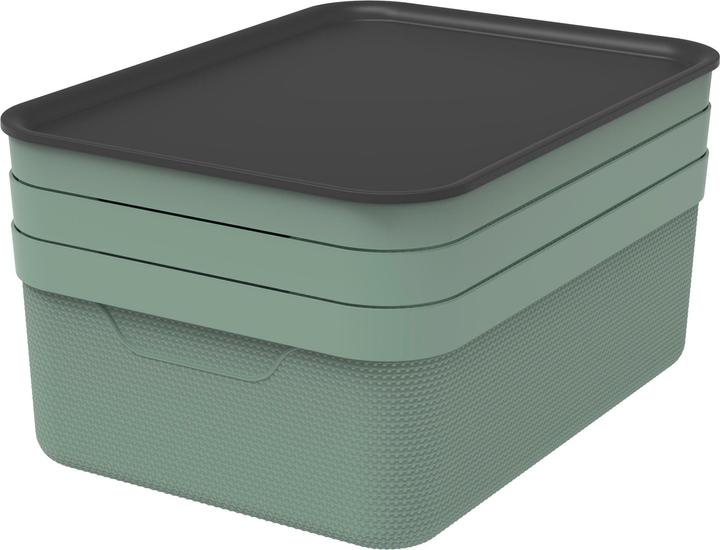 Produktbild Rotho Jive (37.5 x 28 x 23.5 cm, 10 l)