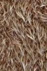 Actual product image Online Wool Fur Line 332, 50g, approx. 70m (70 m)