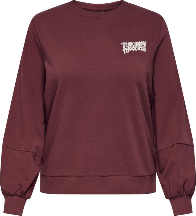 Actual product image Only CARKAVIRA Sweatshirt Sweatshirt (L)