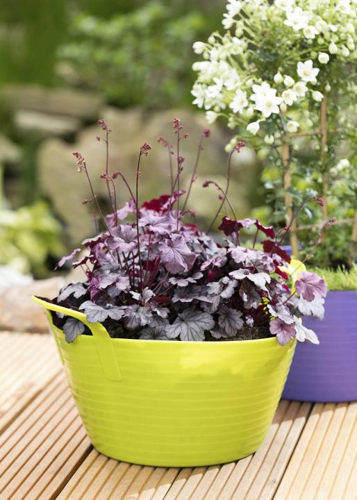 Image du produit Kerbl FlexBag