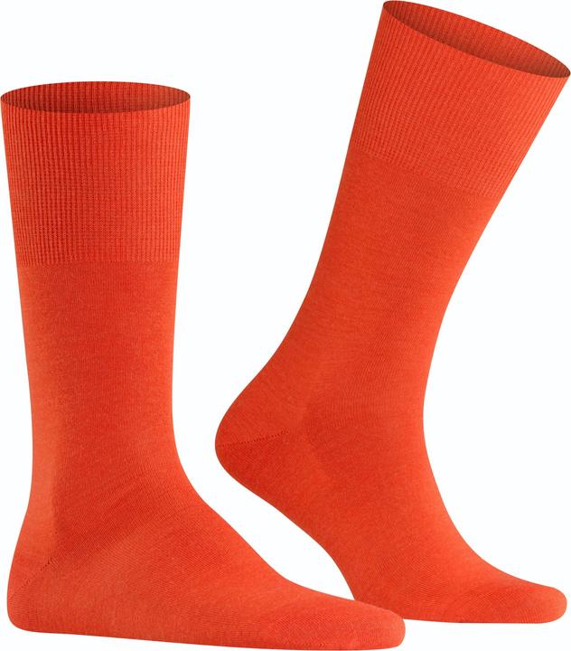 Actual product image Falke Airport SO (Single pack, 45 - 46)