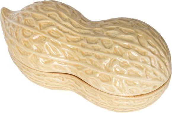 Produktbild Fisura Erdnussschale (20 x 12 cm)