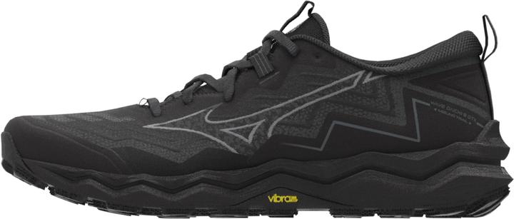 Mizuno Wave Daichi 9 Gtx (42.5)