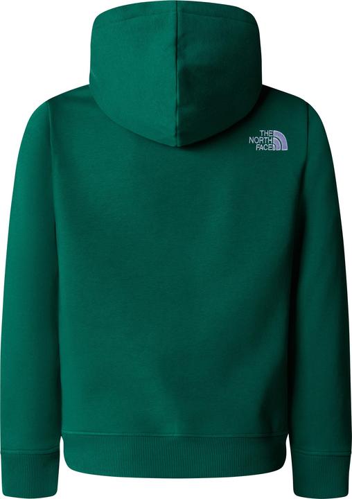 Actual product image North Face Boys Drew Peak (S)