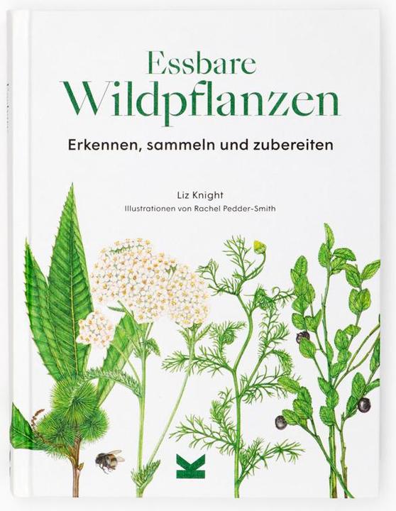 Produktbild Essbare Wildpflanzen (Deutsch, Liz Knight, Wiebke Krabbe, Rachel Pedder-Smith, 2021)