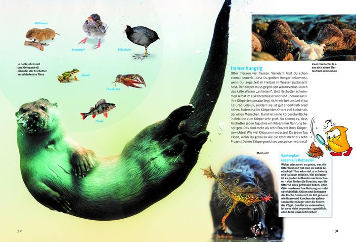 Immagine prodotto Entdecke die Otter (Tedesco, Krüger, Hans-Heinrich(Dr), 2023)