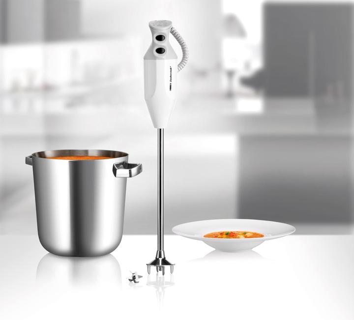 Produktbild Unold ESGE-Zauberstab G 350 Gastro Max (EU-Stecker)