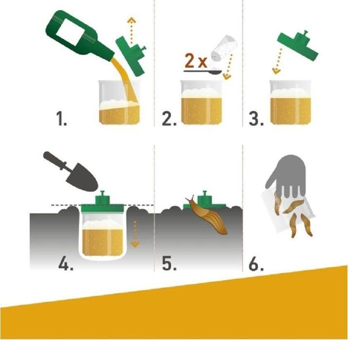 Produktbild Windhager Schneckenfallen
