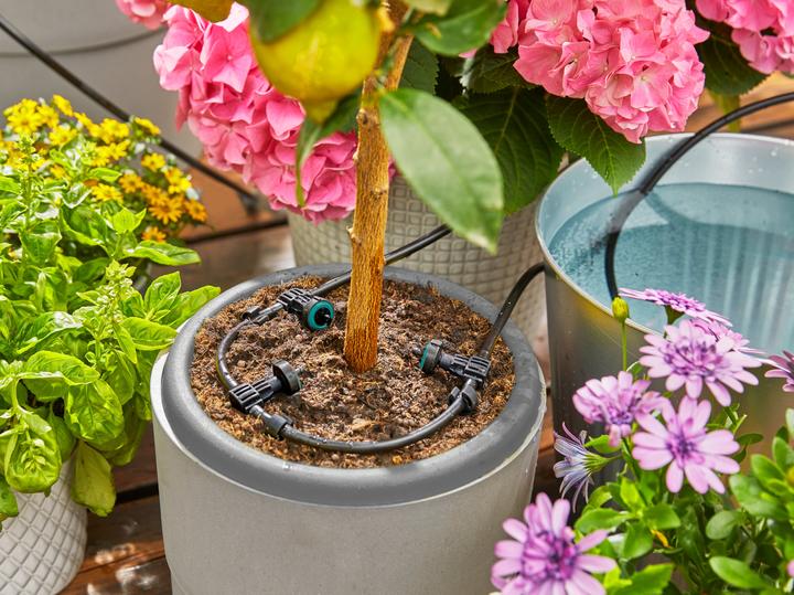 Actual product image Gardena AquaBloom Set (Drip irrigation set)