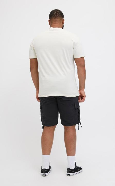 Image du produit Jack & Jones Plus Size Regular Fit Cargo Shorts Cargo Shorts (48)