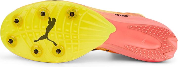 Actual product image Puma evoSPEED Distance Nitro Elit (46.5)