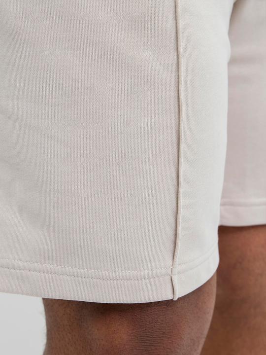Produktbild Jack & Jones Plus Size Loose Fit Sweat-Shorts Sweat-Shorts (48)