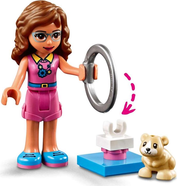 Actual product image LEGO Olivia's hamster playground (41383, LEGO Friends)