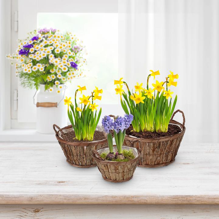 Actual product image Relaxdays 3-piece flower pot set (29 cm)