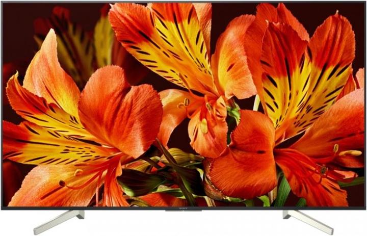 Sony Kd-55xf8505 (55", LCD, 4K, 2018)