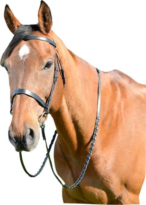 Actual product image Kincade Classic Leather Horse Flat Hunt Bridle With Reins