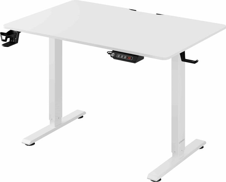 Casaria Bureau à hauteur réglable (110 x 60 x 118 cm)