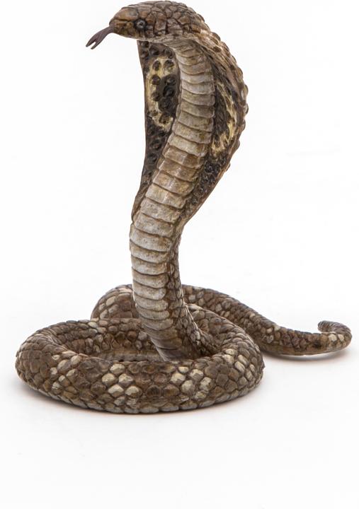 Immagine prodotto Papo Re Cobra