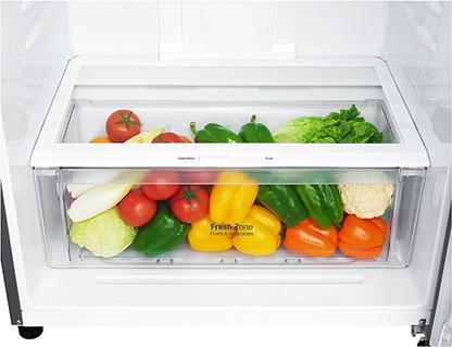 Image du produit LG GTF744PZPE Réfrigérateur à double porte Classe E (509 l)
