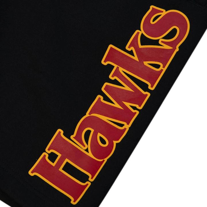 Image du produit Mitchell & Ness M&N NBA Fleece Shorts - TEAM ORIGINS Atlanta Hawks (L)